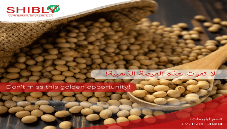 The best suppliers for soyabeans.. Don't miss this golden opportunity of soya beans offers!